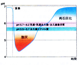 食事とPHの関係