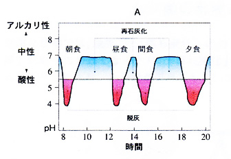 食事とPHの関係