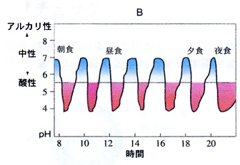 食事とPHの関係